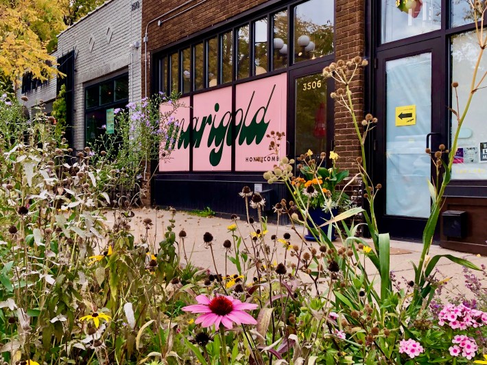 an exterior shot of marigold's brick building, with a pink and green sign blanketing the windows