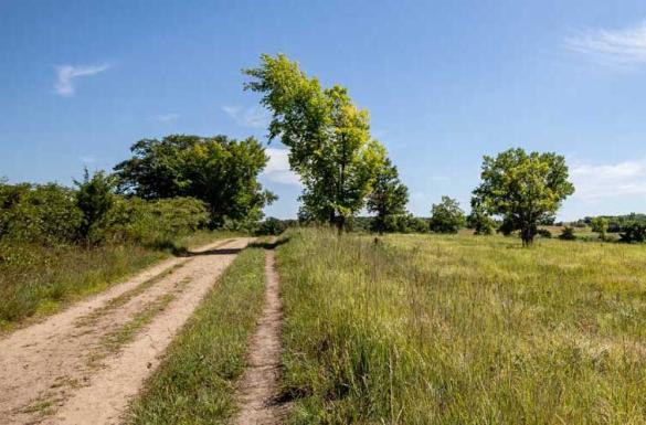 Summer Guide 2026: Hiking and Camping - Racket