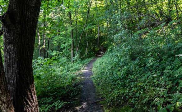 Summer Guide 2026: Hiking and Camping - Racket