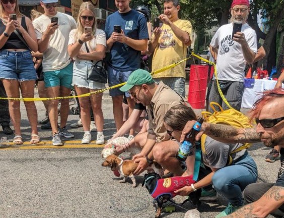 Freeloader Friday: 124 Free Things To Do This Weekend