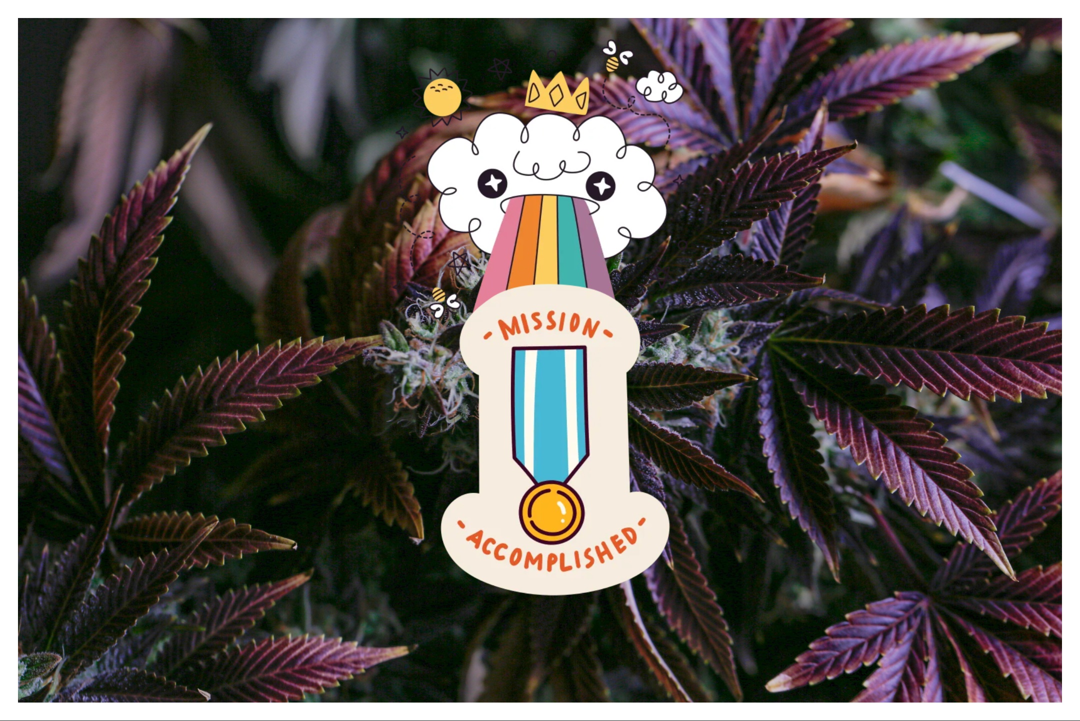 Weed Weviews Wewards 2026