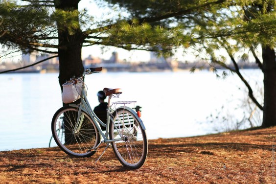 Guess What Percentage of Minneapolis Households Are Carless. Wrong! Guess Again.