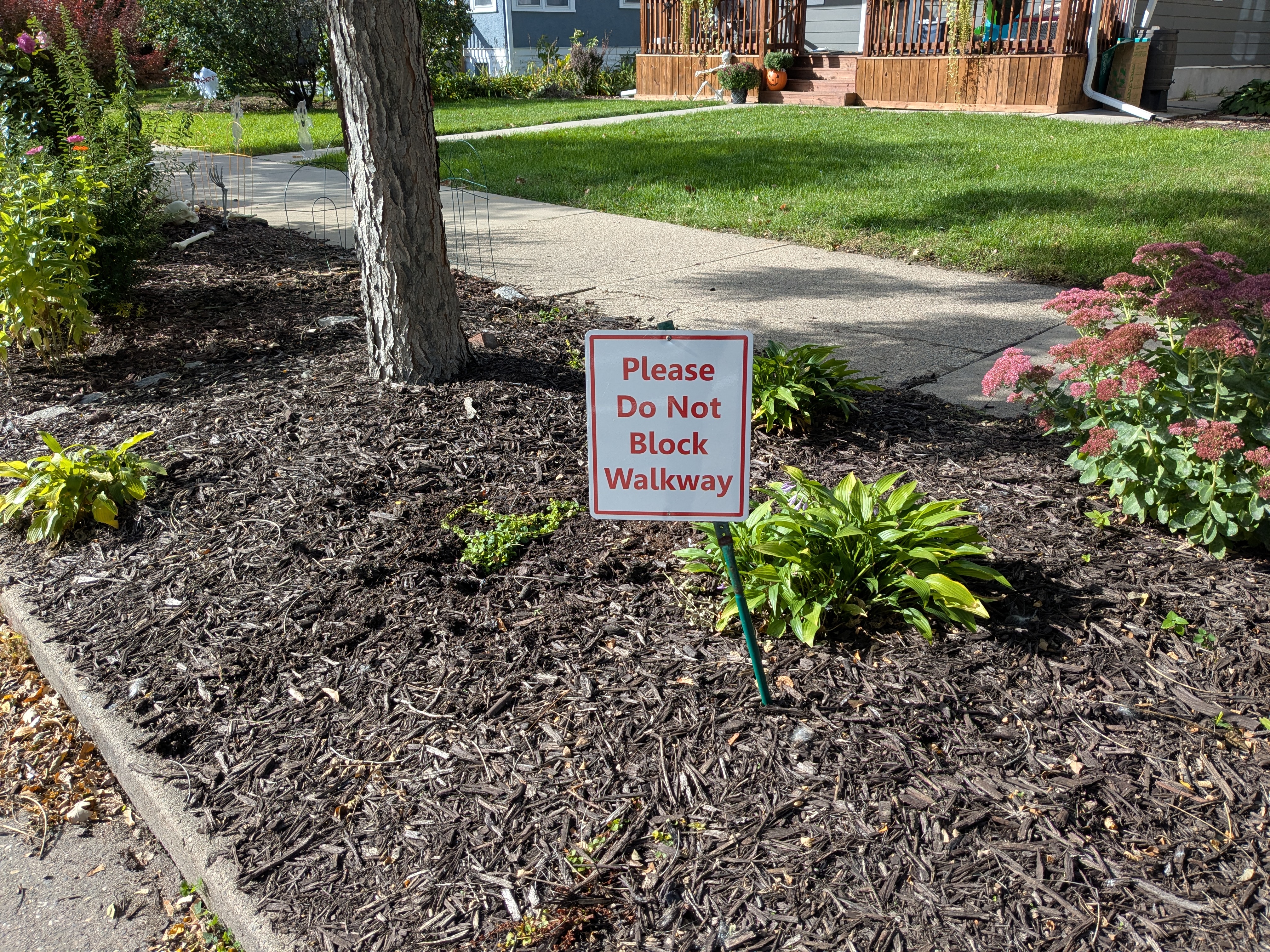 Do These Homemade Parking Signs Hold Any Real Power?